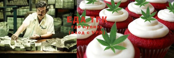 дмт Бородино