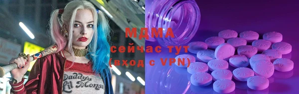 дмт Бородино