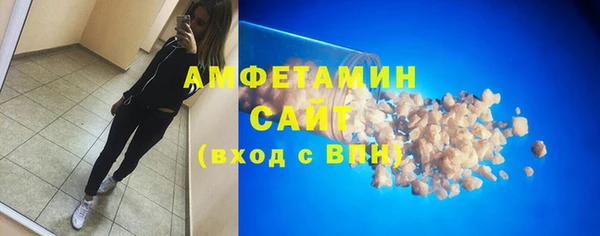 дмт Бородино