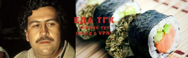 дмт Бородино