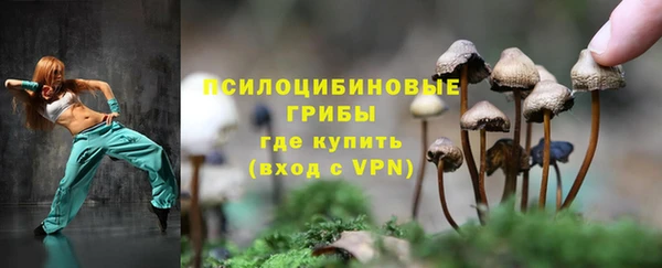 дмт Бронницы
