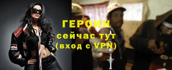 дмт Бородино