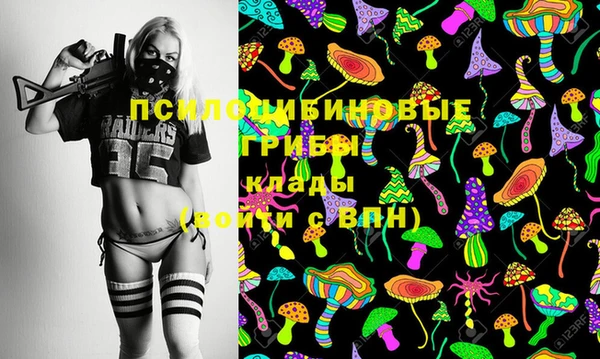 дмт Бронницы
