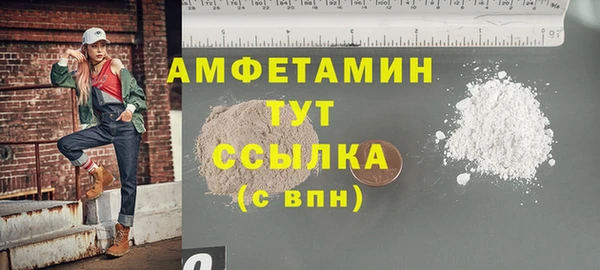 дмт Бородино