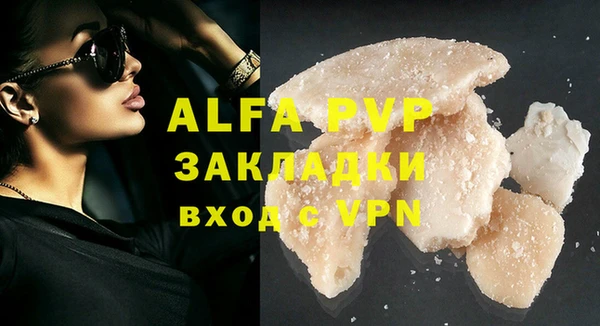 дмт Бородино