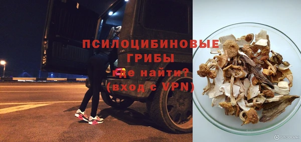 дмт Бородино